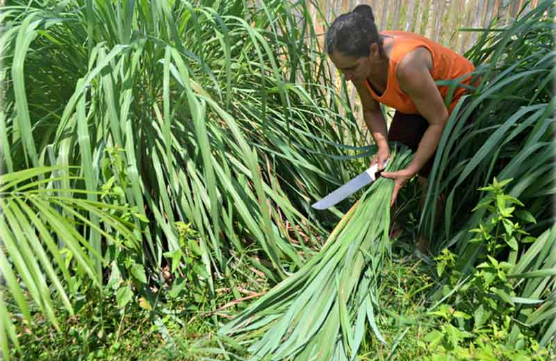 Foto: Anny Barbosa/G1