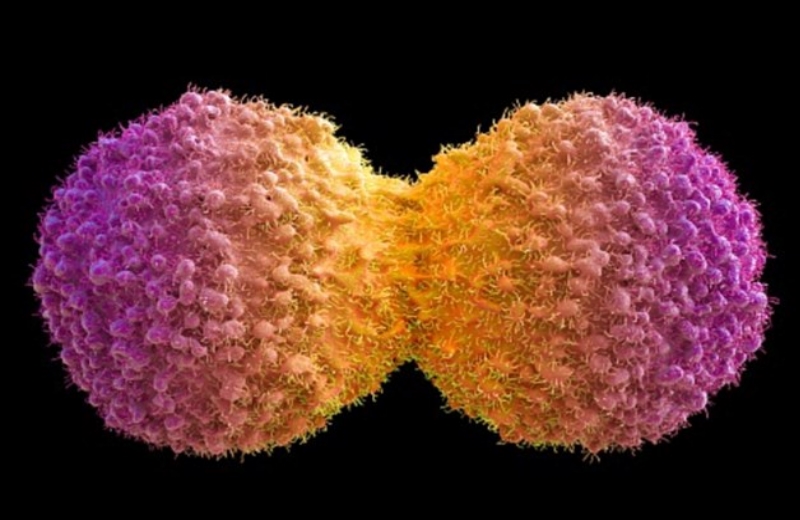 Foto: Getty/Maurizo de Angelis