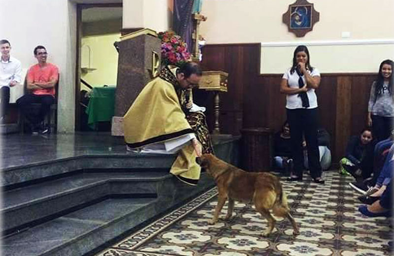 Foto: reprodução / Facebook