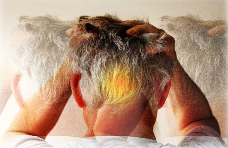 Foto montagem / nebari / Istock)