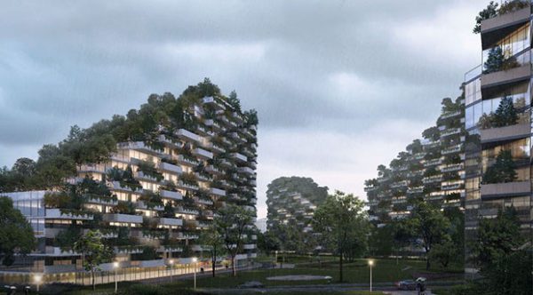 cidade-floresta-3