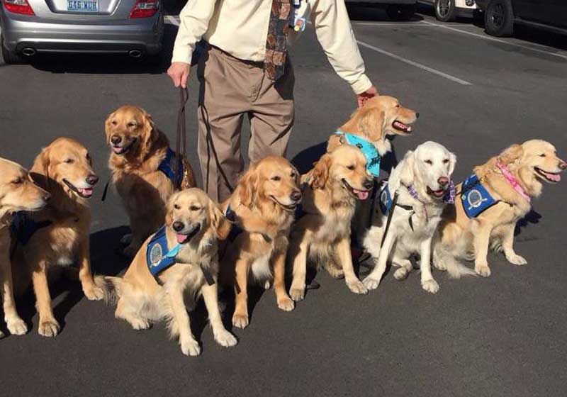 caes-las-vegas-close