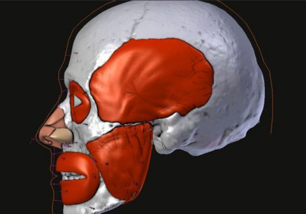 Rosto de São Valentim passou por reconstrução facial em 3D Imagem: Cícero Moraes/ Divulgação