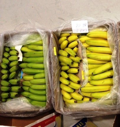 Bananas transportadas com filtro (esq) e sem filtro (dir) - Foto: It's Fresh