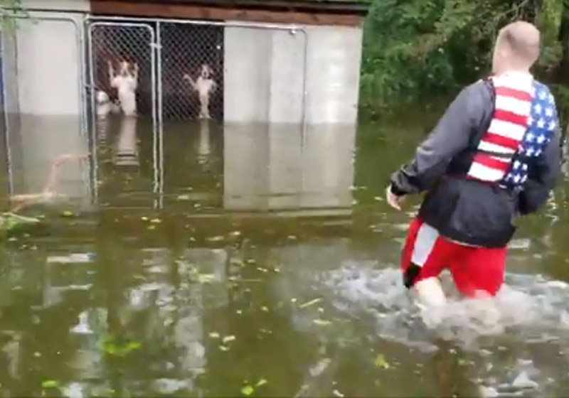 Foto: reprodução / Twitter