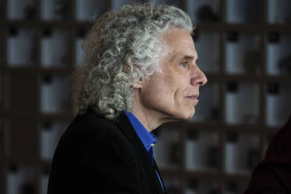 Steven Pinker - Foto: Chona Kasinger / NYT