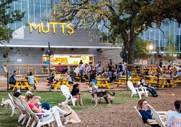 Mutts Canine Cantina - Foto: reprodução Instagram