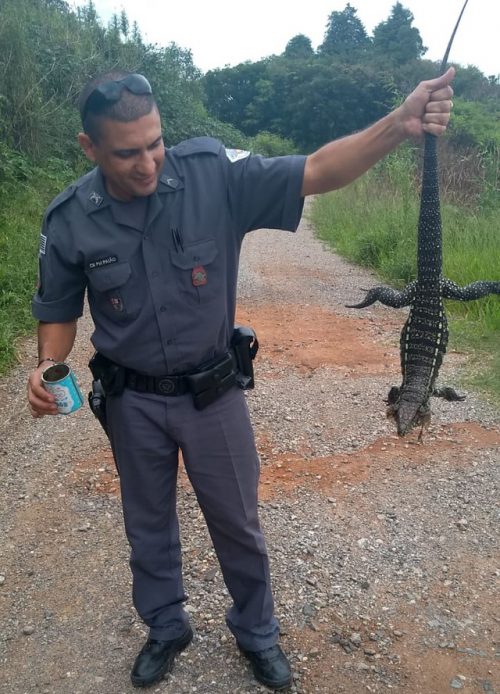 Cabo Paião e o lagarto livre - Foto: Polícia Militar / Divulgação