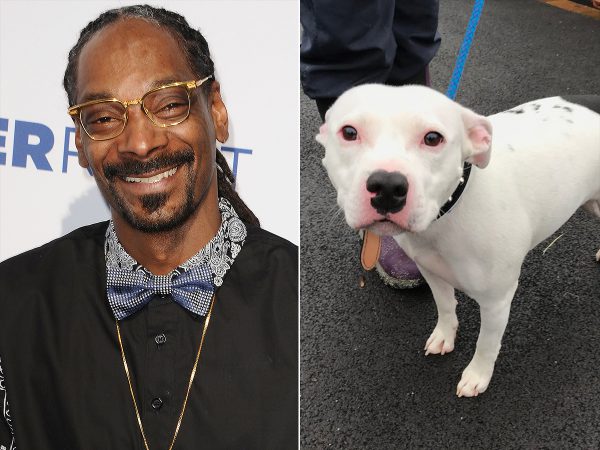 Snoop Dogg e o cão abandonado - Fotos: People