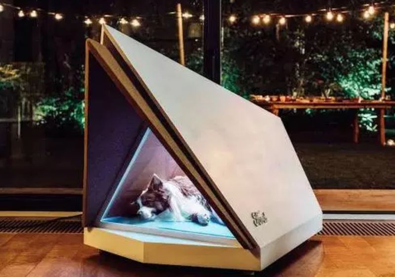 Foto: Divulgação/Ford