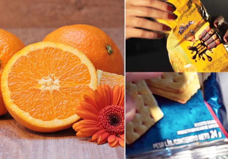 Fotos: Pixabay e Momento Ambiental