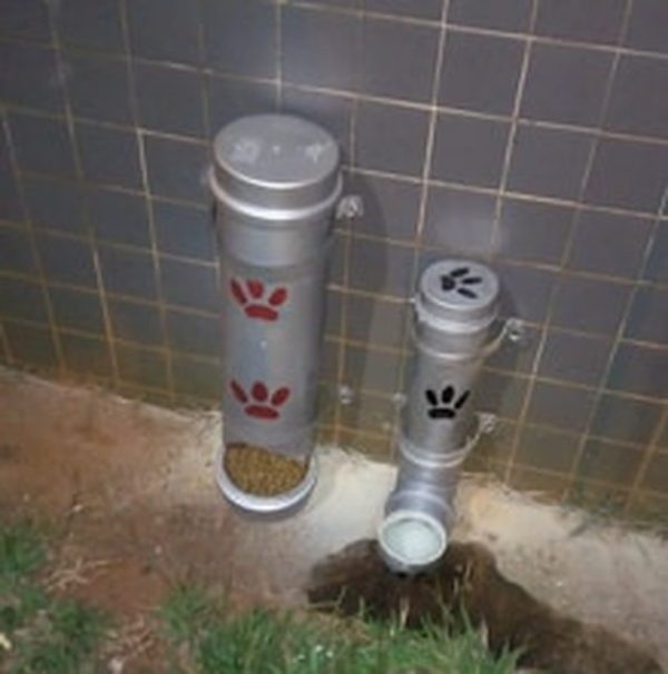 Comedouro e bebedouro de PVC - Foto: arquivo pessoal