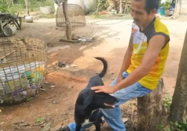 Foto: reprodução youtube