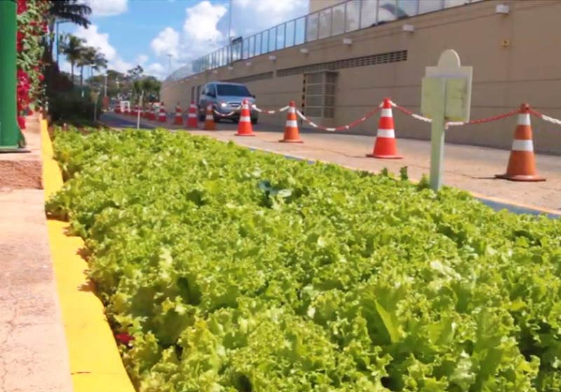 Horta urbana JK Shopping - Foto: reprodução / Momento Ambiental