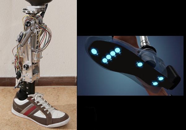 ETH Zürich prosthesis