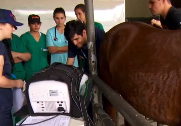 Foto: reprodução Globo Rural