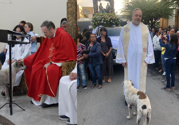 Foto: Padre João Paulo