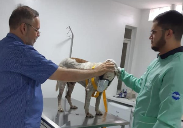 O padre no veterinário com um dos animais Foto: Padre João Paulo