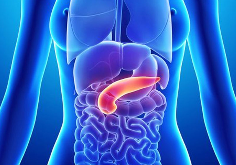 pancreas-cancer-FDA.jpg?profile=RESIZE_710x