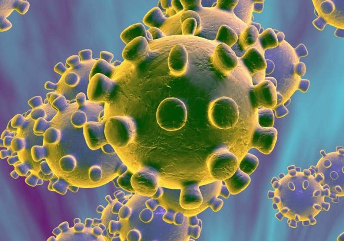 coronavirus-nature Coronavírus - Foto: reprodução / CNN