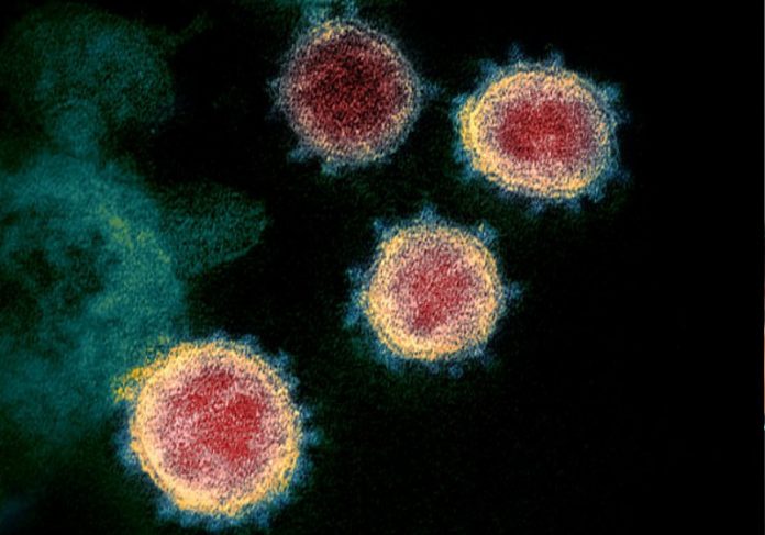 empresa_coronavirus Foto: reprodução Daily Mail