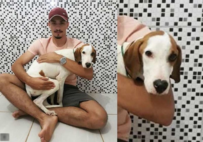 lucas-cao-close Lucas e o cãozinho adotado - Foto: reprodução / Instagram