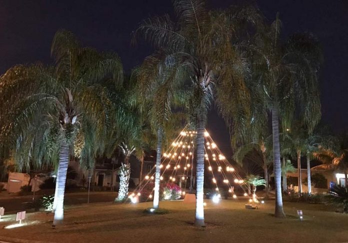 arvore-natal-condominio-close Luzes de Natal e julho - Foto: divulgação