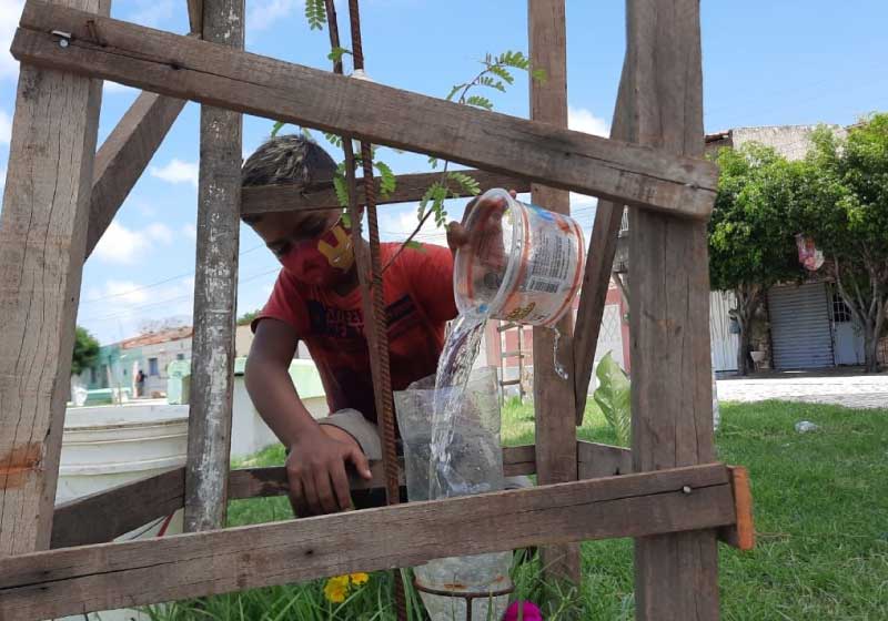 Garoto de 11 anos adota praça e planta mais de 30 árvores em um mês