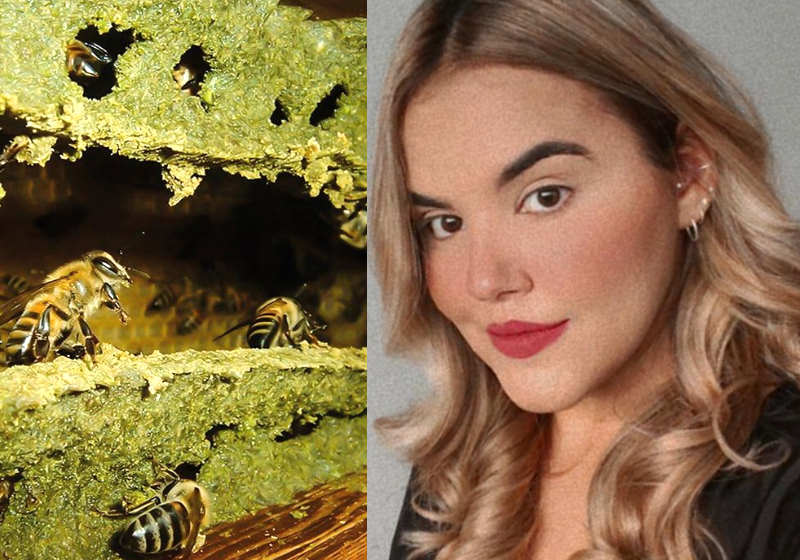 Natália e o própolis verde Foto: Arquivo Pessoal