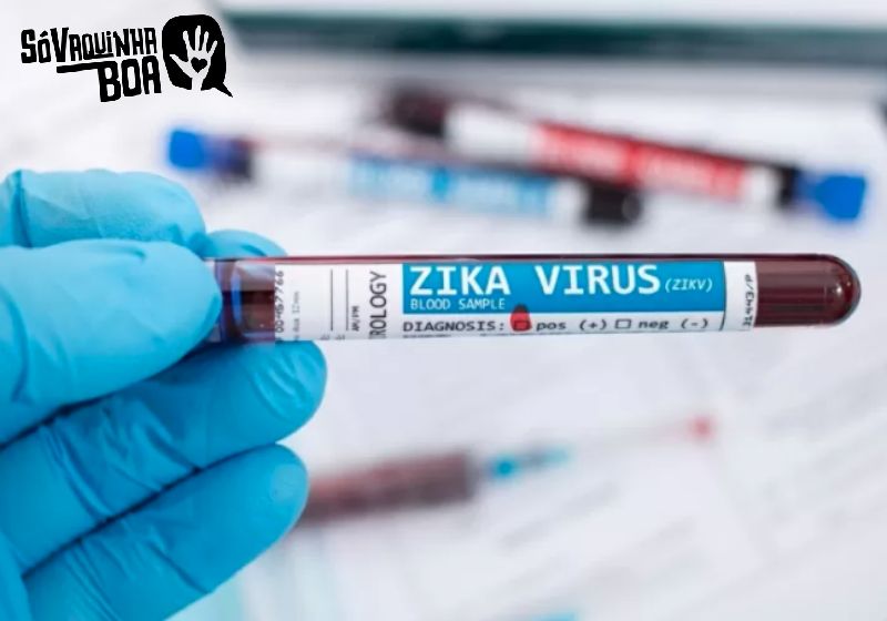 UOL falou da campanha Zika/Câncer do Só Vaquinha Boa - Foto: iStock/UOL
