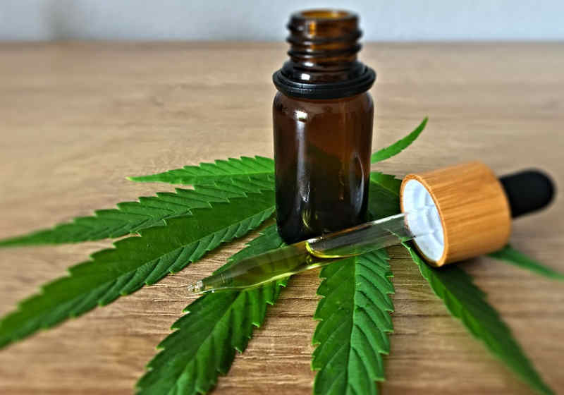 Estudo conduzido pela USP de Ribeirão Preto testou o canabidiol em profissionais de saúde na linha de frente da covid-19 Foto: Pixabay