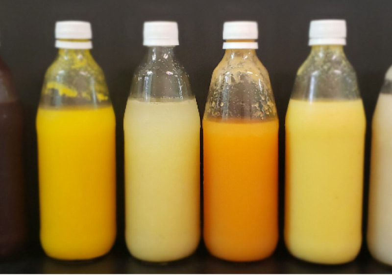 Primeiro probiótico de frutos é uma alternativa para intolerantes à lactose e veganos - Foto: UFC