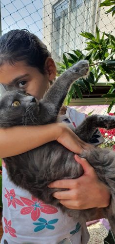 Laís ama animais - Foto: arquivo digital