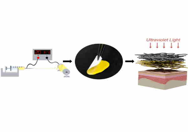 Material com biotecnologia e nanotecnologia possibilita a liberação lenta do princípio ativo medicinal e poderá ser usado para tratar queimaduras, úlceras e outras afecções cutâneas. Foto: Embrapa