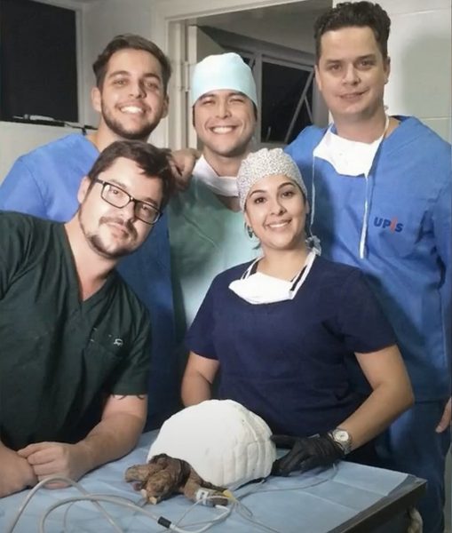 Equipe que trabalhou na reconstrução do casco — Foto: Reprodução